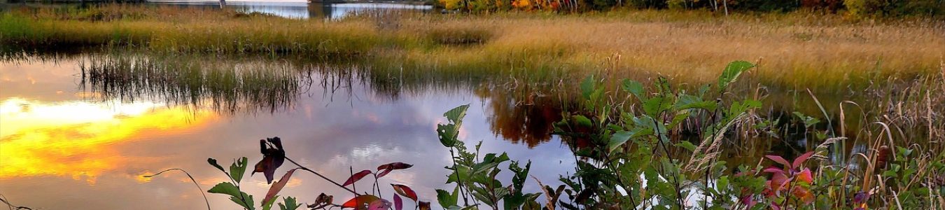 landscape-g2a1d8f487_1280